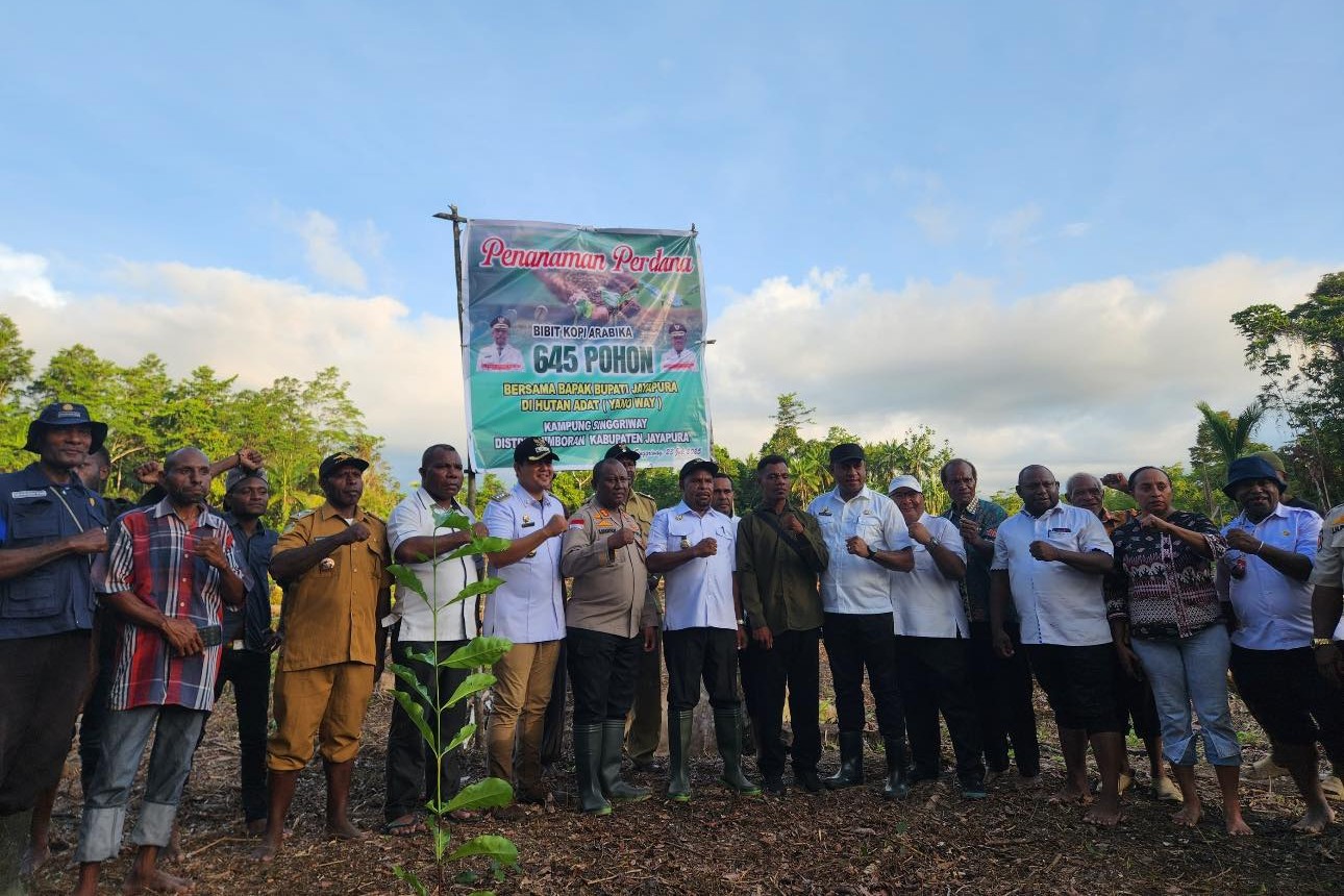  Pemerintah Kabupaten Jayapura terus mendorong pembangunan ekonomi kampung berbasis potensi lokal. Pada Selasa (23/7/2025), Bupati Jayapura, Yunus Wonda, memimpin langsung penanaman 645 bibit kopi arabika di kawasan Hutan Adat (Yano Way), Kampung Singgriway.
