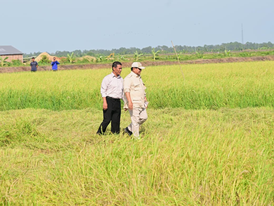 Presiden RI, Prabowo Subianto didampingi Menteri Pertanian, Andi Amran Sulaiman, meninjau sawah di Desa Telaga Sari, Distrik Kurik, Kabupaten Merauke, Provinsi Papua Selatan, pada Minggu pagi, 3 November 2024. Foto : Istimewa
