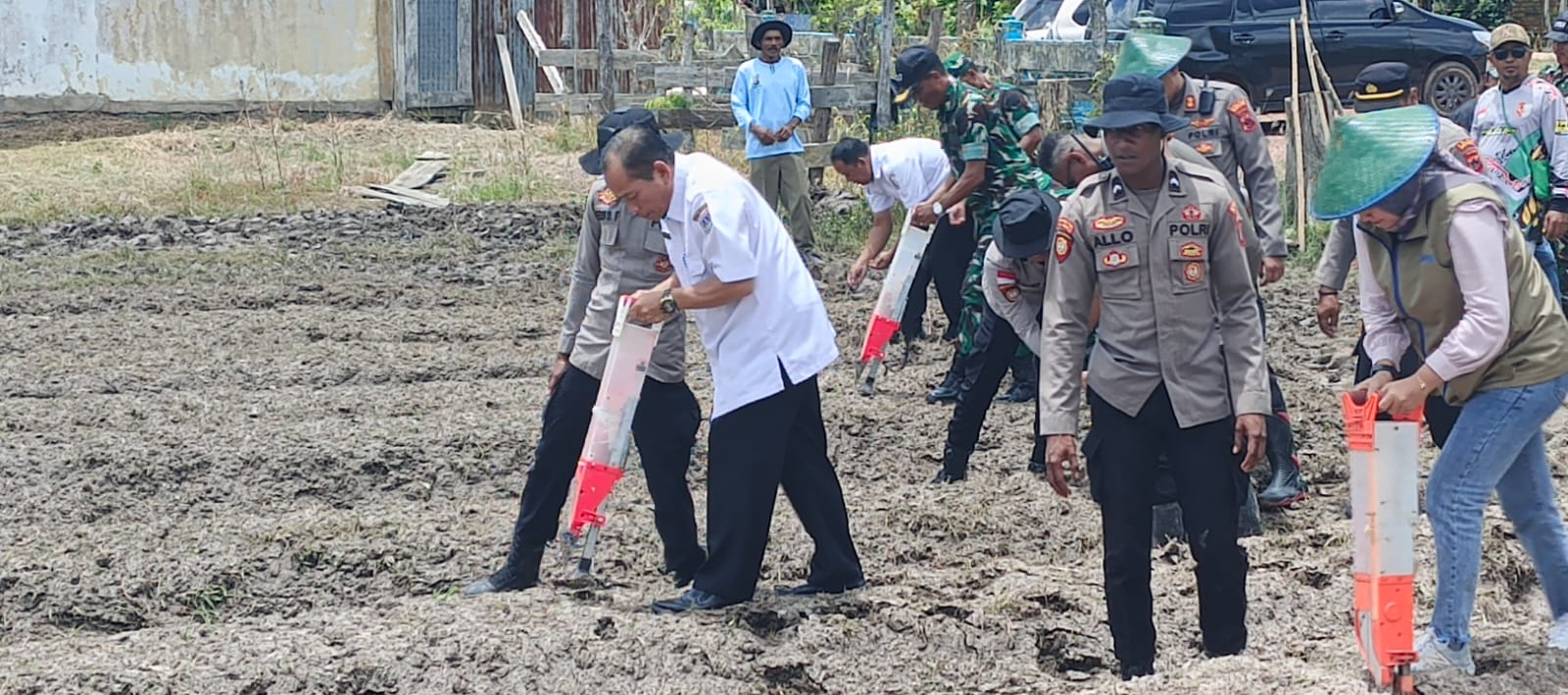 Kepala Dinas Pertanian, Pangan, Kelautan, dan Perikanan (DP2KP) Provinsi Papua Selatan, Paino, melakukan penanaman bibit jagung di lahan binaan Polri. Foto : Istimewa