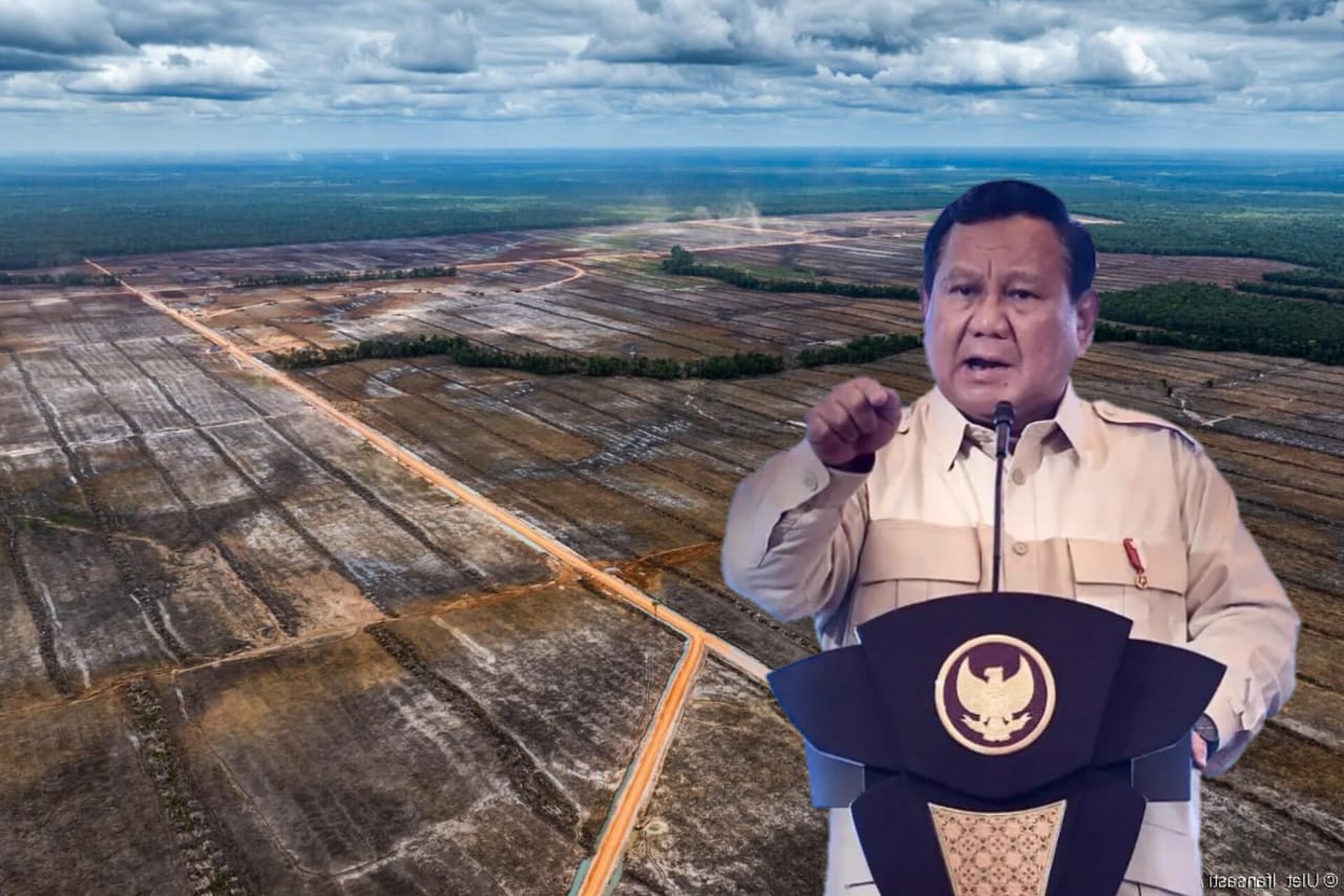 Foto: Kolase Bataspapua.com