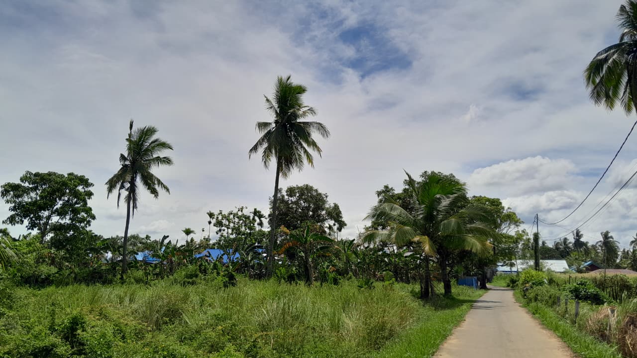 Cuaca Merauke hari ini, Minggu 8/3/2026. Foto: Bataspapua.com