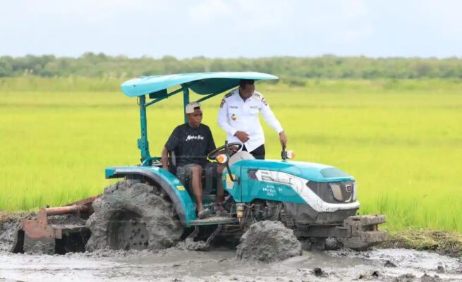 Gubernur Papua Selatan, Apolo Safanpo, di salah satu lahan pertanian di Merauke. Foto: Humas Pemprov Papua Selatan