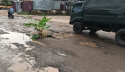 Aksi protes unik dilakukan warga di Jalan TMP Polder, Kabupaten Merauke, Papua Selatan. Masyarakat menanam pohon pisang di tengah badan jalan yang rusak sebagai bentuk kekecewaan terhadap pemerintah yang dinilai lamban melakukan perbaikan. Foto: Bataspapua.com