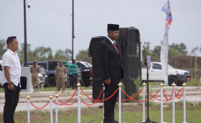 Gubernur Papua Selatan, Apolo Safanpo mengatakan otonomi daerah (otda) merupakan pelimpahan kewenangan dari pemerintah pusat kepada pemerintah daerah.