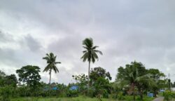 Tampak cuaca Merauke hari ini, Rabu (13/5/2026). Foto: Jamal/Bataspapua.com