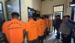 Para pelaku pencuri sapi ditahan di Polres Merauke. Foto: Istimewa