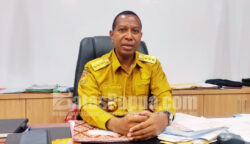 Gubermu Papua Selatan, Apolo Safanpo.