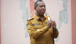 Gubernur Papua Selatan, Apolo Safanpo