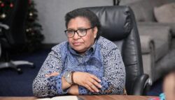 Wakil Menteri Dalam Negeri (Wamendagri), Ribka Haluk.