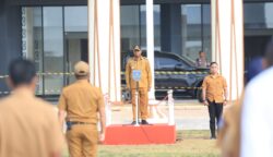Gubernur Papua Selatan, Apolo Safanpo. Foto: Ist