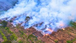 Tampak api yang bersumber dari sebidang lahan. Foto: Bataspapua.com/Ist