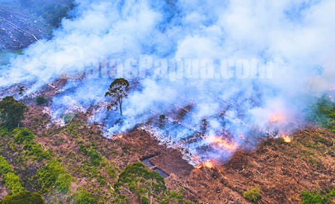 Tampak api yang bersumber dari sebidang lahan. Foto: Bataspapua.com/Ist