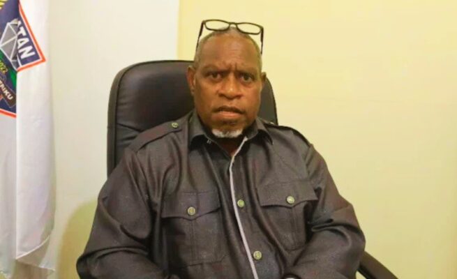 Ketua MRP Papua Selatan, Damianus Katayu.