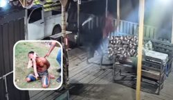 Foto: Kolase Bataspapua.com