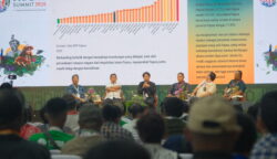 PAPEDA Summit merupakan ruang konsolidasi organisasi masyarakat sipil dan masyarakat adat se-Tanah Papua yang turut menghadirkan unsur pemerintah daerah. Foto: Bataspapua.com/Istimewa