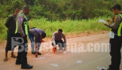 Kecelakaan lalu lintas terjadi di Jalan Poros Tanah Miring (TSM), Kampung Yaba Maru, Distrik Tanah Miring, Kabupaten Merauke, Papua Selatan, Rabu (16/9/2026) sekitar pukul 10.30 WIT. Foto: Bataspapua.com/Ist