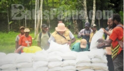 Penyaluran beras pangan untuk masyarakat distrik Iwur, Kabupaten Pegubungan Bintang. Foto: Bataspapua.com/Demi