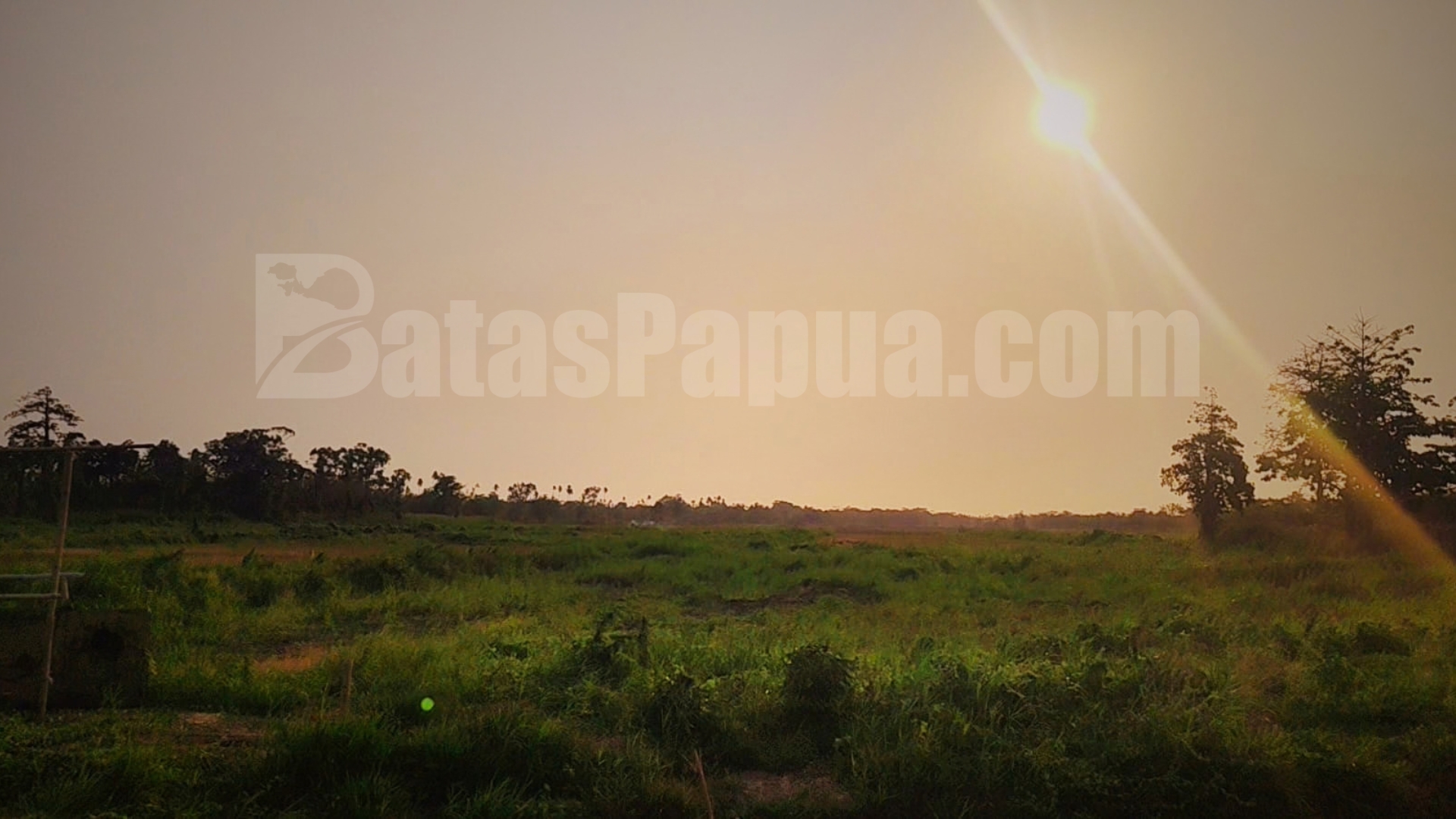 Hutan yang dulu diyakini menjadi sumber kehidupan kini menjadi hamparan kosong di kampung Alatep, Merauke, Papua Selatan. Foto: Bataspapua.com/Jamal