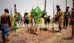 Masyarakat adat Marind yang tergabung dalam komunitas PAYA melakukan ritual adat permohonan maaf kepada tanah atau leluhur mereka di Kampung Alatep, Distrik Okaba, Kabupaten Meruake, Papua Selatan. Foto: Bataspapua.com/Jamal