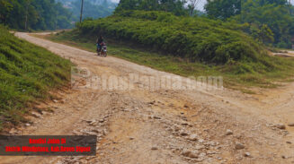 Kondisi jalan. Foto: Bataspapua.com/Ketua MRP Papua Selatan/Damianus Katayu