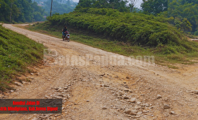 Kondisi jalan. Foto: Bataspapua.com/Ketua MRP Papua Selatan/Damianus Katayu